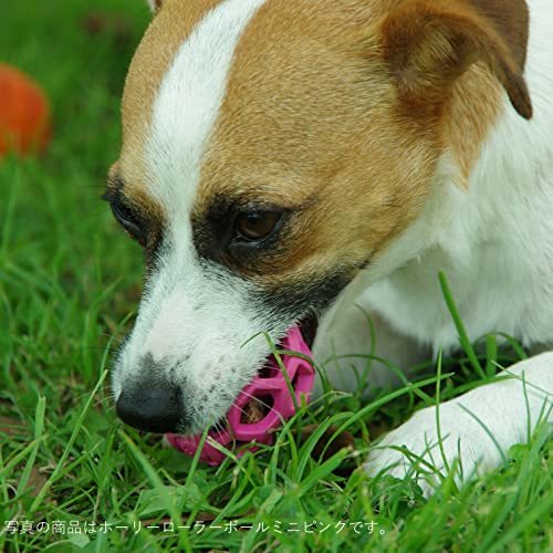JW Pet(JWペット) 犬用おもちゃ 中型犬 ホーリーローラーボール Sサイズ オレンジ_画像4