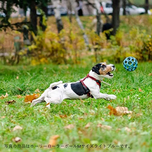 JW Pet(JWペット) 犬用おもちゃ 中型犬 ホーリーローラーボール Sサイズ オレンジ_画像2