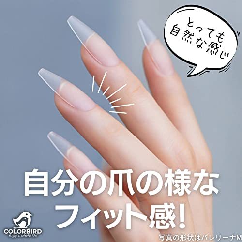 COLORBIRD ネイルチップ 超薄 ショート ミディアム クリア 母の日 結婚式 自然なフィット感 艶消 密着 (スクエアオフS)_画像3