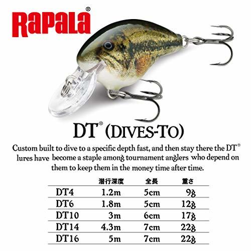 Rapala(ラパラ) クランクベイト DT ダイブストゥ 5cm 12g ダークブラウンクロウダット DCW DT6-DCW ルアー_画像2