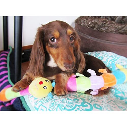 PLATZ PET SUPPLISES&FUN(プラッツ) 犬用おもちゃ 小型犬 キャタピー Jr._画像6
