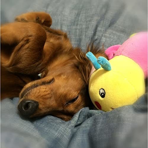 PLATZ PET SUPPLISES&FUN(プラッツ) 犬用おもちゃ 小型犬 キャタピー Jr._画像5