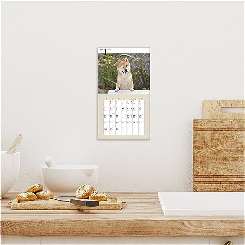2024年カレンダー かわいい柴犬 (誠文堂新光社カレンダー)