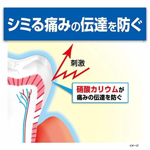 ハウメル 知覚過敏ケア 薬用ハミガキ 100g 歯の穴を埋める 小林製薬 1個_画像5