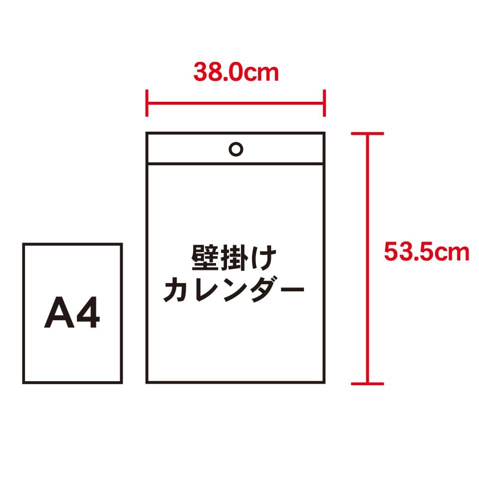 新日本カレンダー 2024年 カレンダー 壁掛け 免疫力アップカレンダー 年表付 NK98_画像7