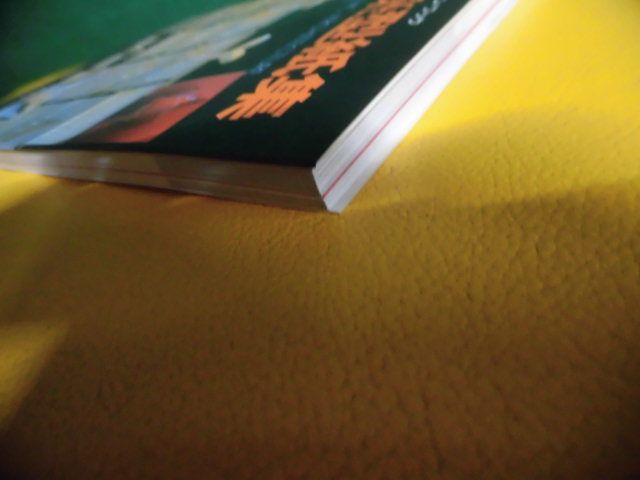 折り紙建築型紙集 オリガミック・アーキテクチャーパターン・ブック 彰国社 茶谷正洋の画像3