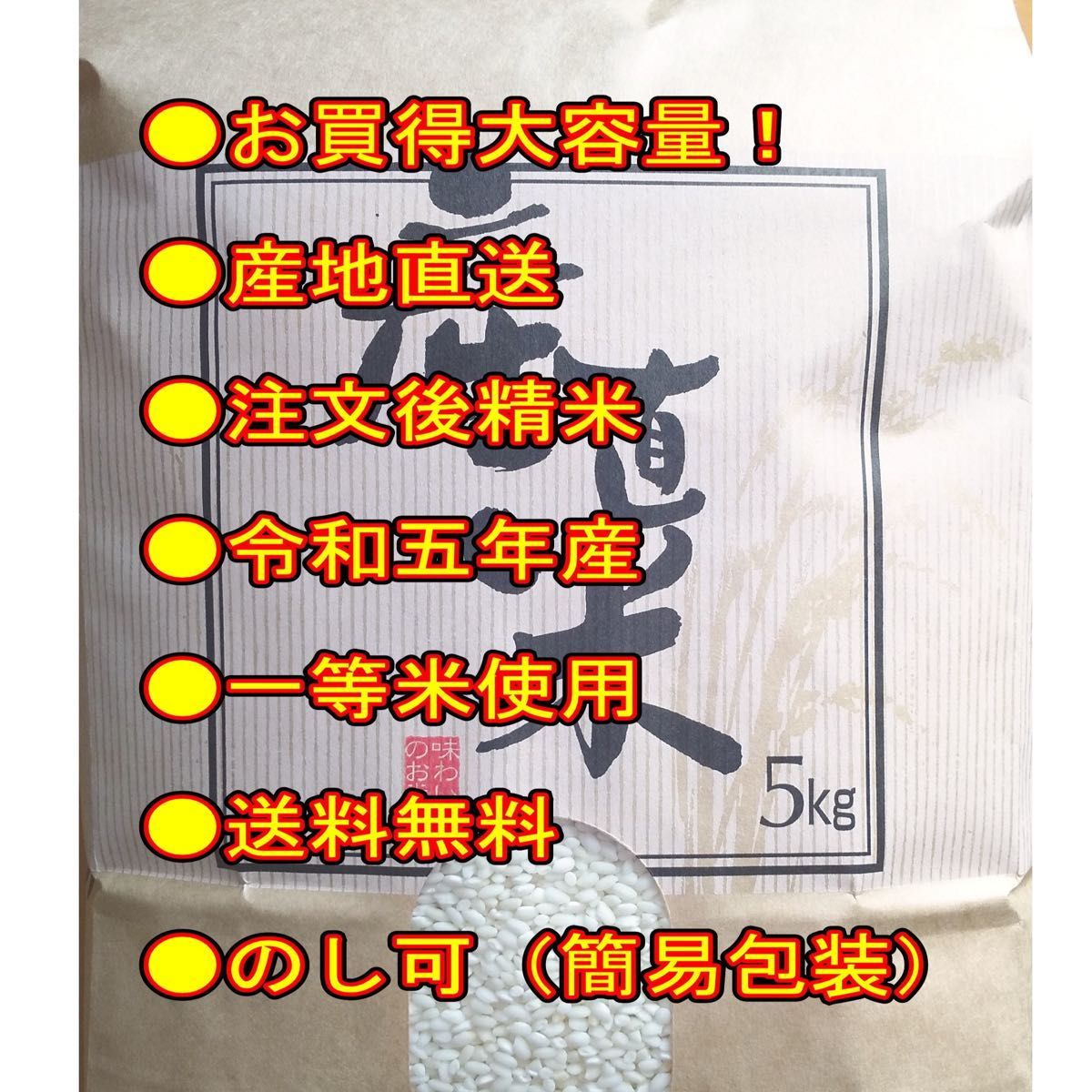 お米　もち米　１０ｋｇ　ふわふわお餅のわたぼうし!　令和5年産　お米