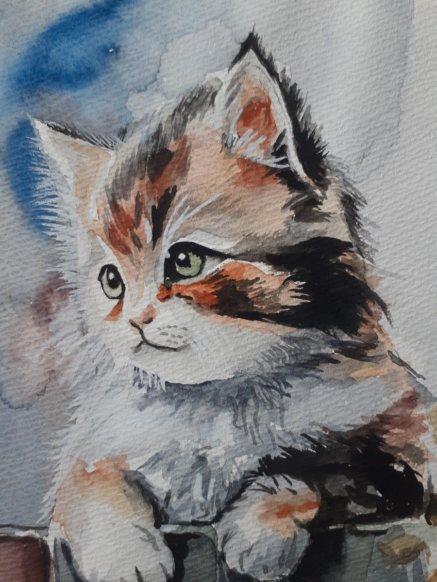 水彩画　可愛い子猫