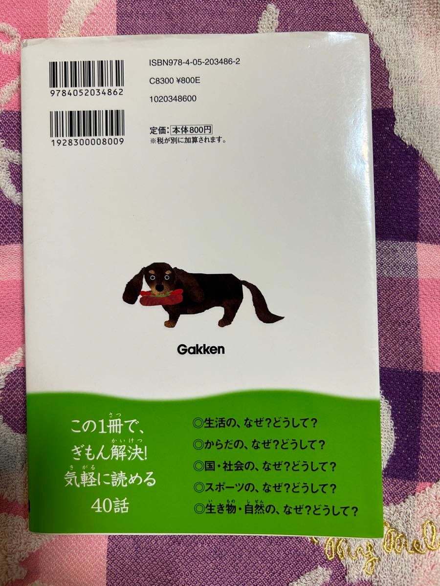 なぜ？どうして？身近なぎもん6年生