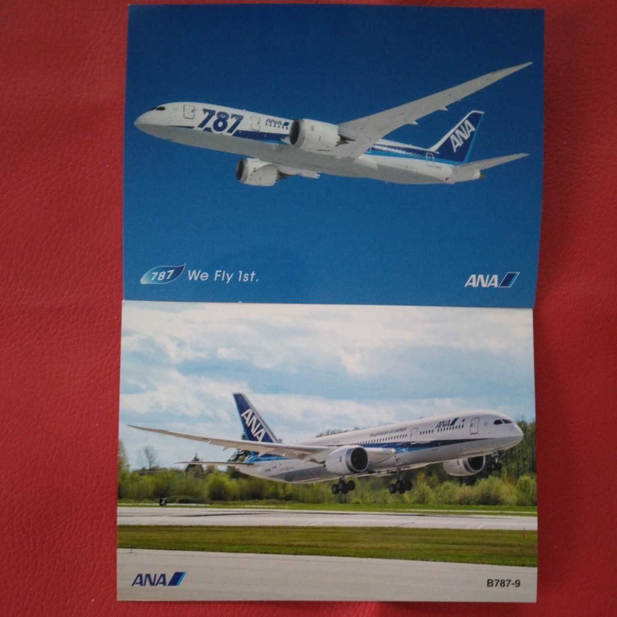 販促ツール 客席窓 ANA B787の窓 航空機部品 | www.oric.kinnaird.edu.pk