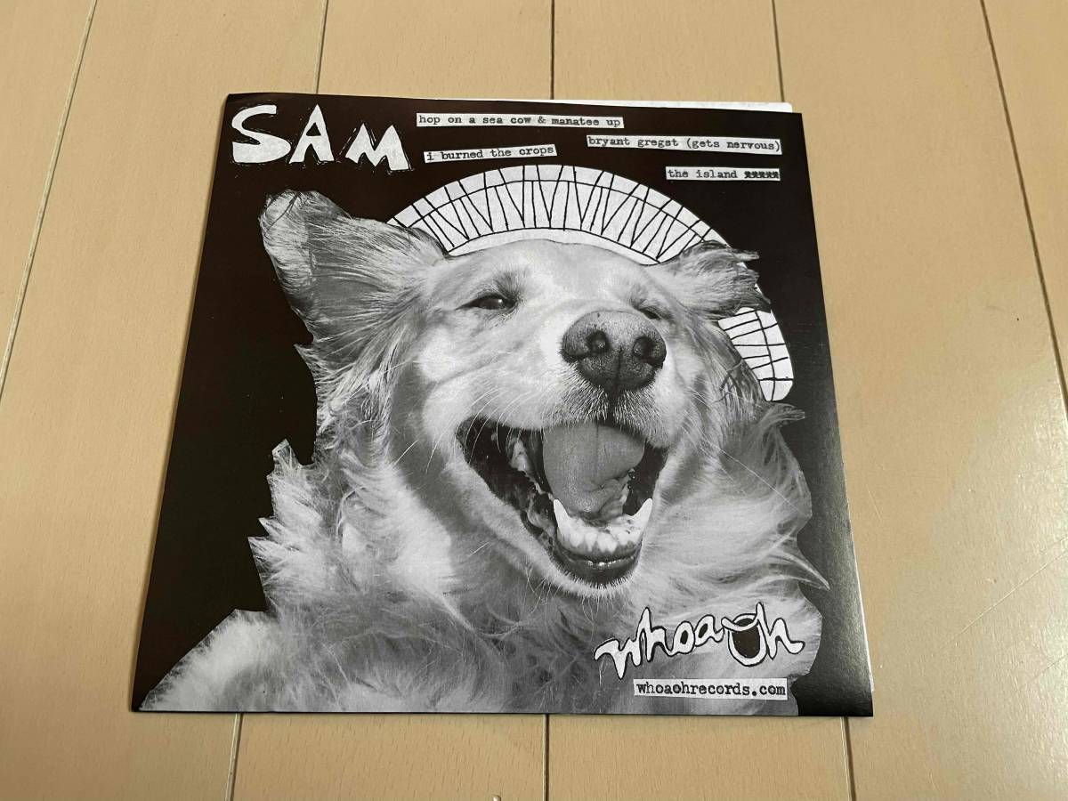 ★Sidekicks『Sam』7ep★pop punk/snuffy smile/emo_画像2