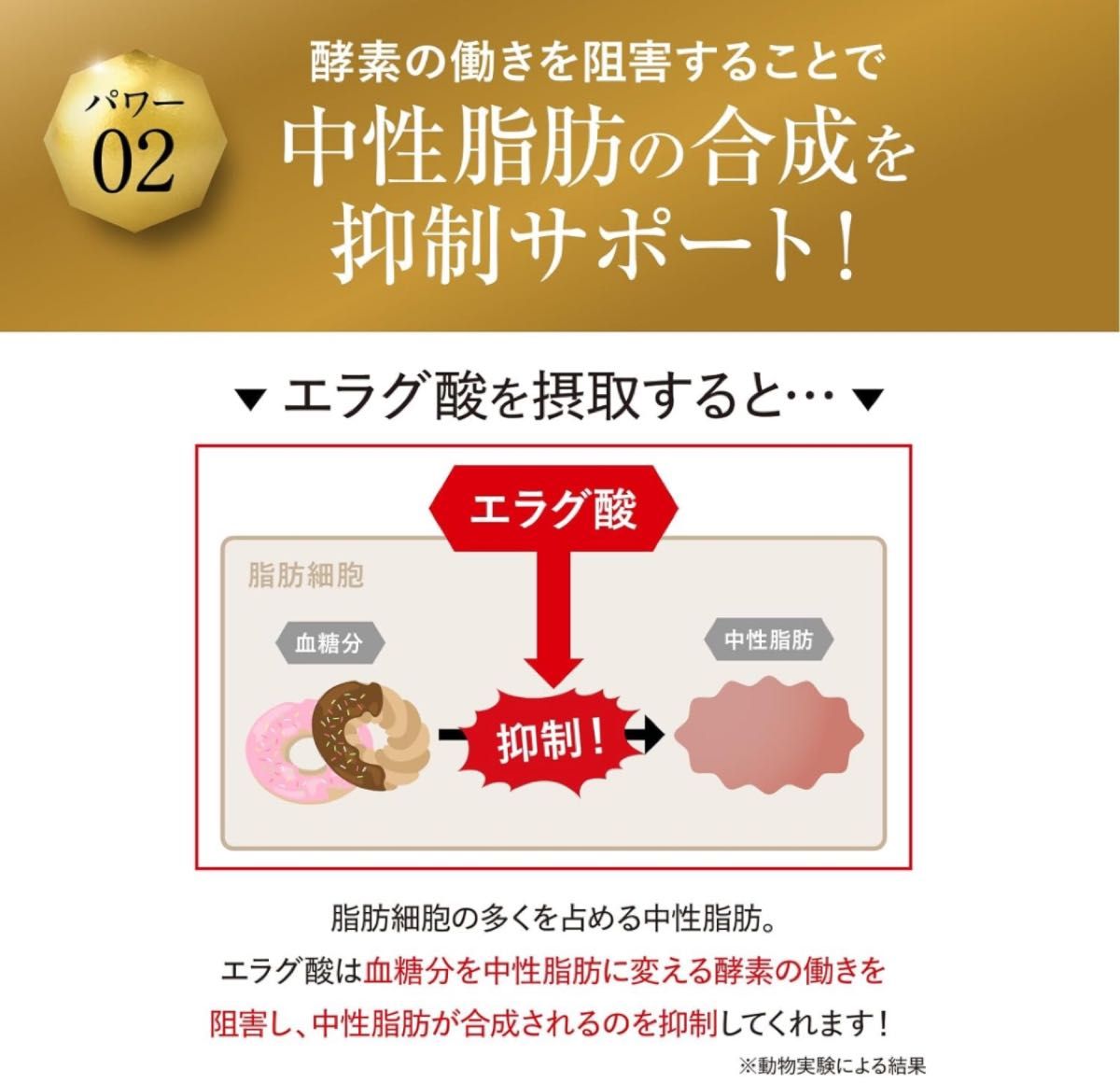 キラーバーナー Ⅱ ダイエットサプリ 倖田來未 プロデュース 1袋45粒 KILLER BURNER 機能性表示食品 サプリメント