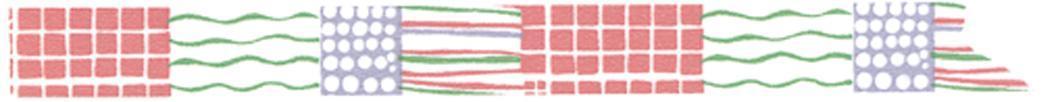 マスキングテープ　3巻セット　縞格子水玉15ｍｍ　倉敷意匠計画室_画像5