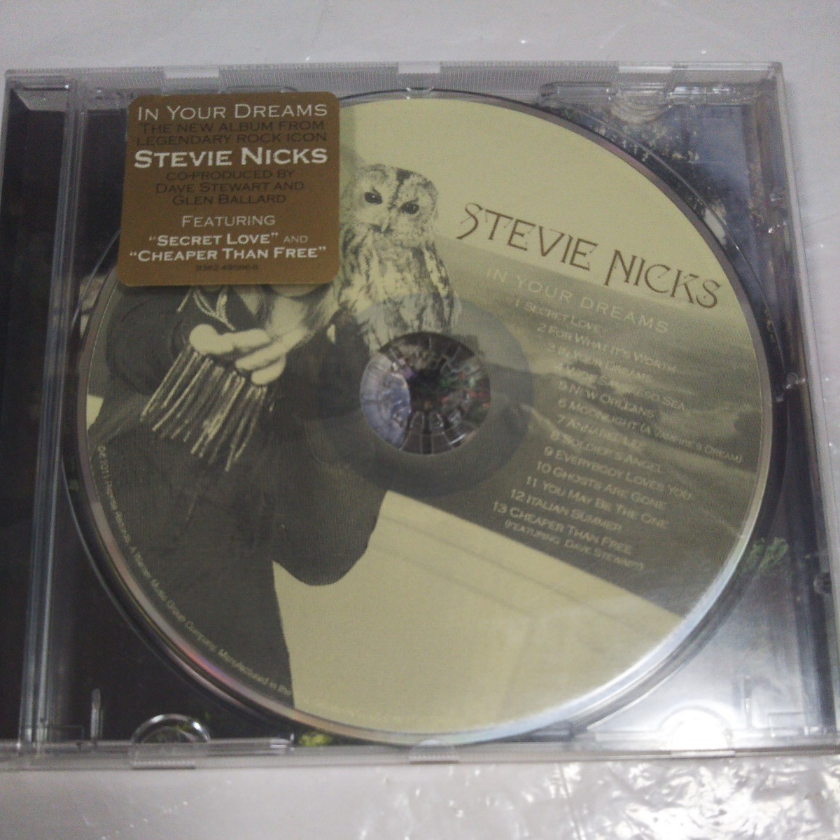 スティーヴィー・ニックス／IN YOUR DREAMS(STEVIE NICKS、フリートウッド・マック、FLEETWOOD MAC)_画像2