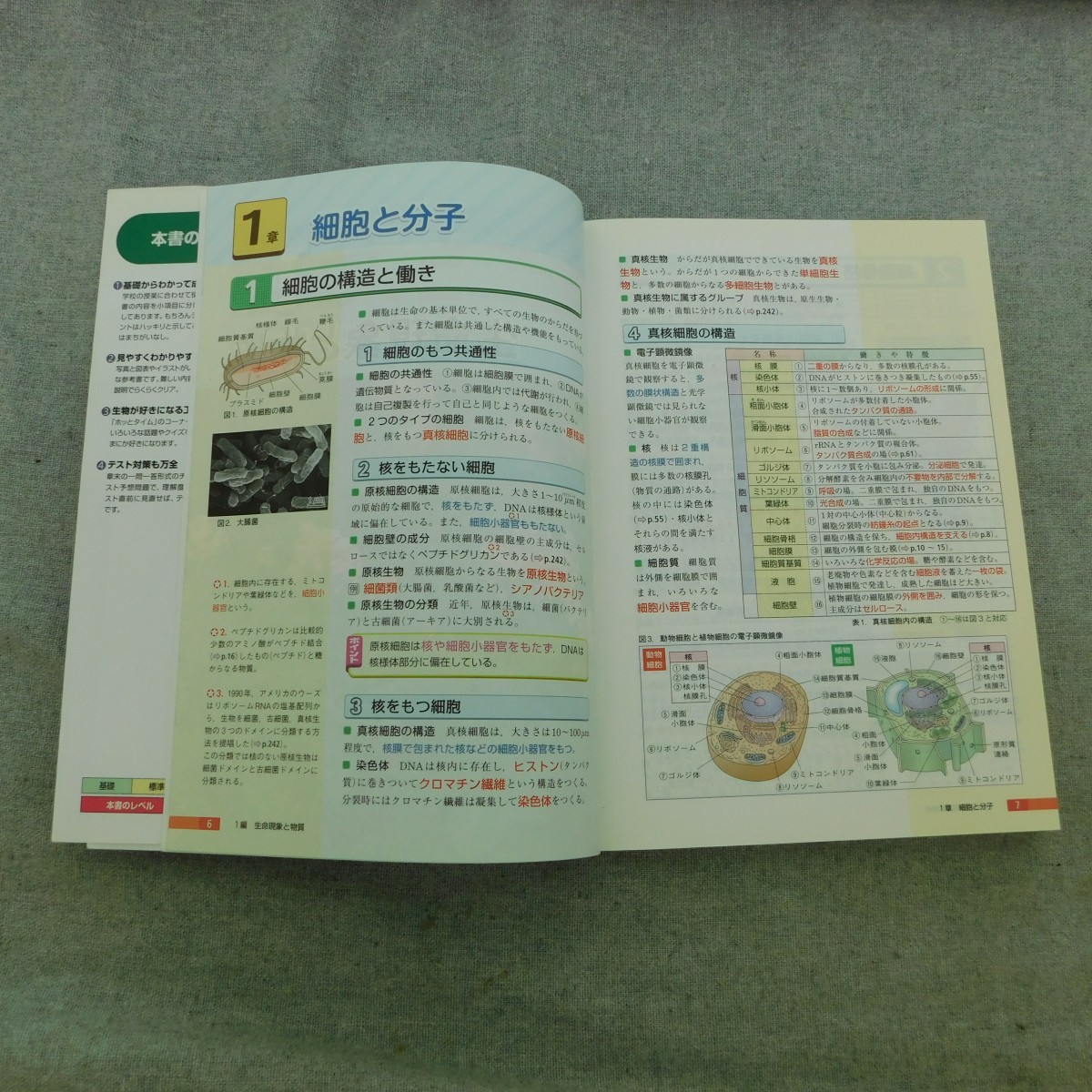 特2 53251 / 高校 これでわかる 生物 基礎からのシグマベスト 新課程版 2015年発行 文英堂編集部編_画像3