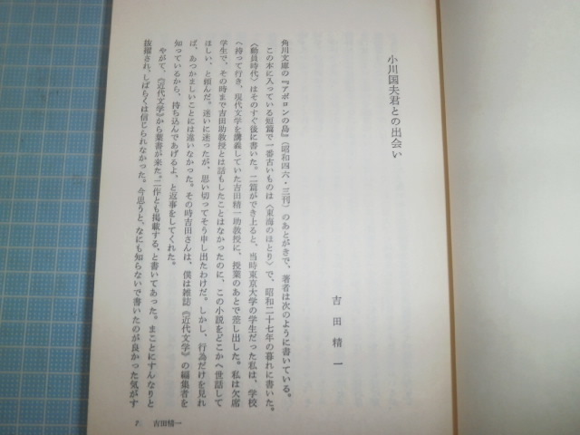 Ω　小川国夫（墨書署名・雅印あり）『小川国夫　光と闇』_画像4