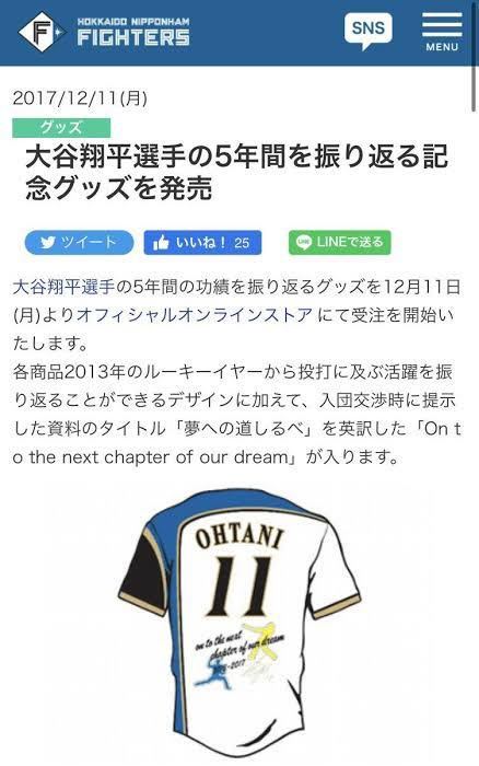 大谷翔平 記念 ユニフォーム L 北海道 日本ハム ファイターズ 大谷翔平 記念 ユニフォーム L 北海道 日本ハム ファイターズ