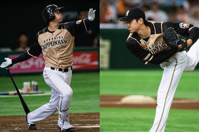 大谷翔平 ユニフォーム L NPB 北海道 日本ハム ファイターズ 大谷翔平 ユニフォーム L NPB 北海道 日本ハム ファイターズ