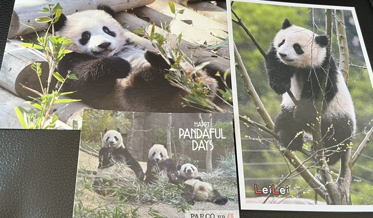 シャンシャン ステッカー 非売品 上野動物園 PARCO_ya上野 配布終了 公式ポストカード_画像1