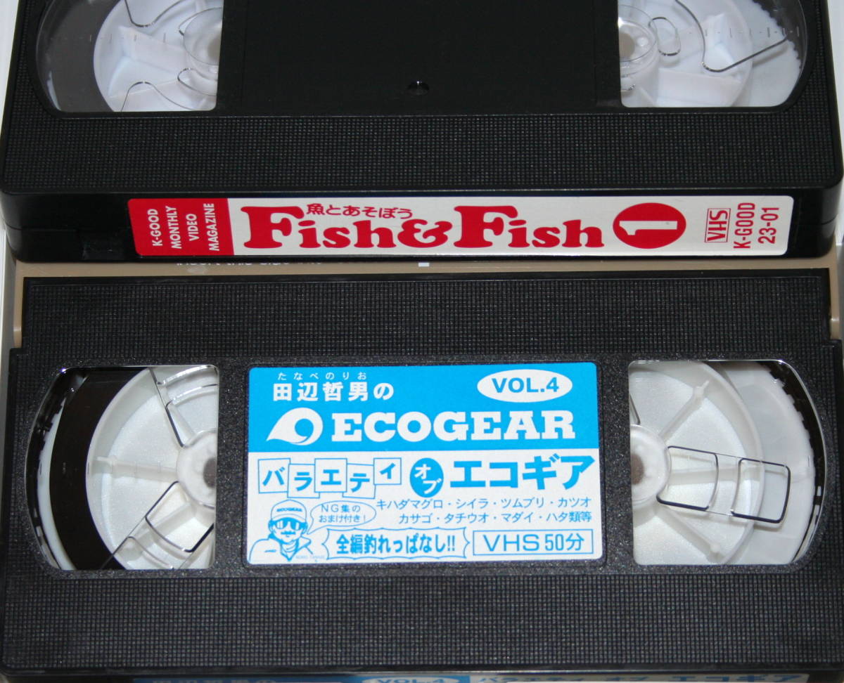 【中古VHS】 魚とあそぼう Fish&Fish 1 / 田辺哲男のバラエティ・オブ・エコギア Vol.4 中古VHSテープ 【S】_画像3