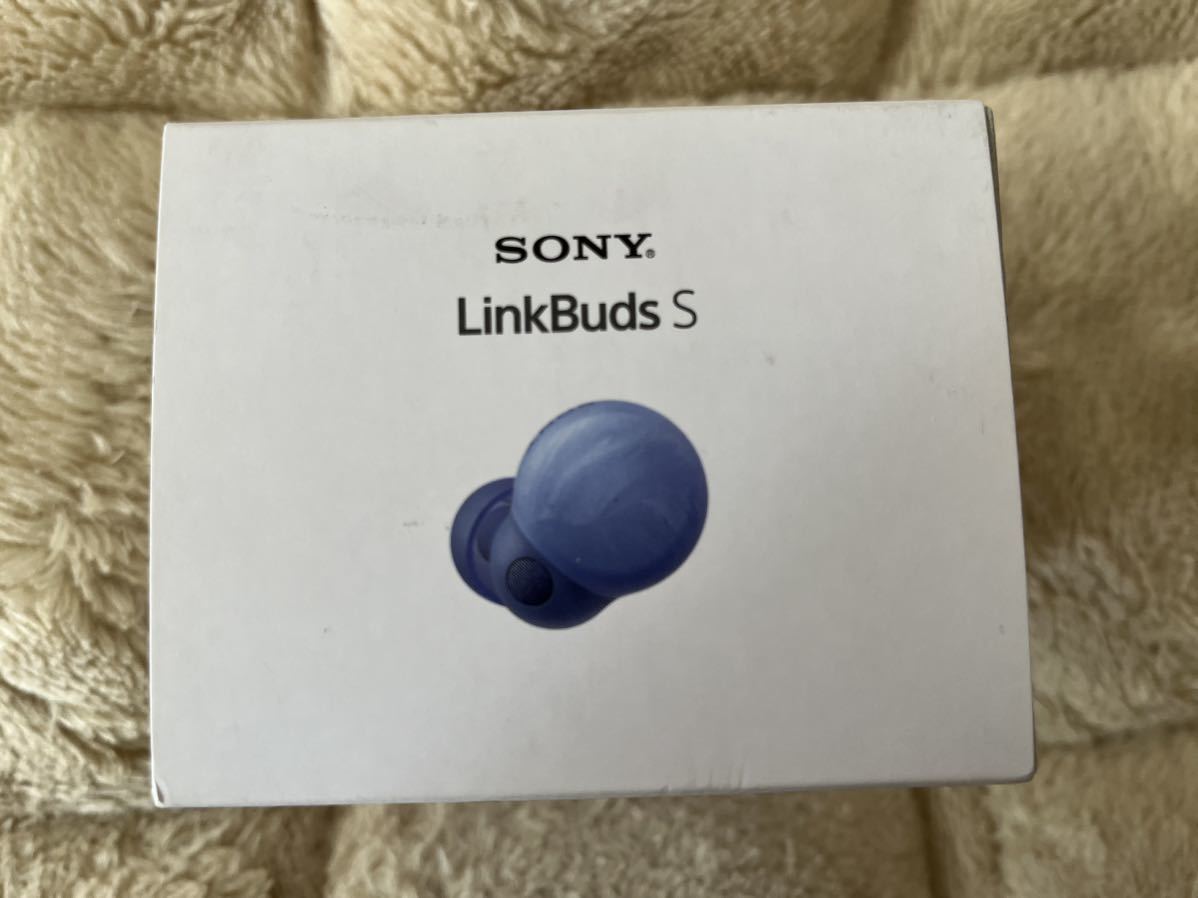 ソニー SONY 完全ワイヤレスイヤホン LinkBuds Bluetooth/LDAC/ノイズキャンセリング対応 DSEE Extreme搭載 アースブルー [WF-LS900N L]の画像1