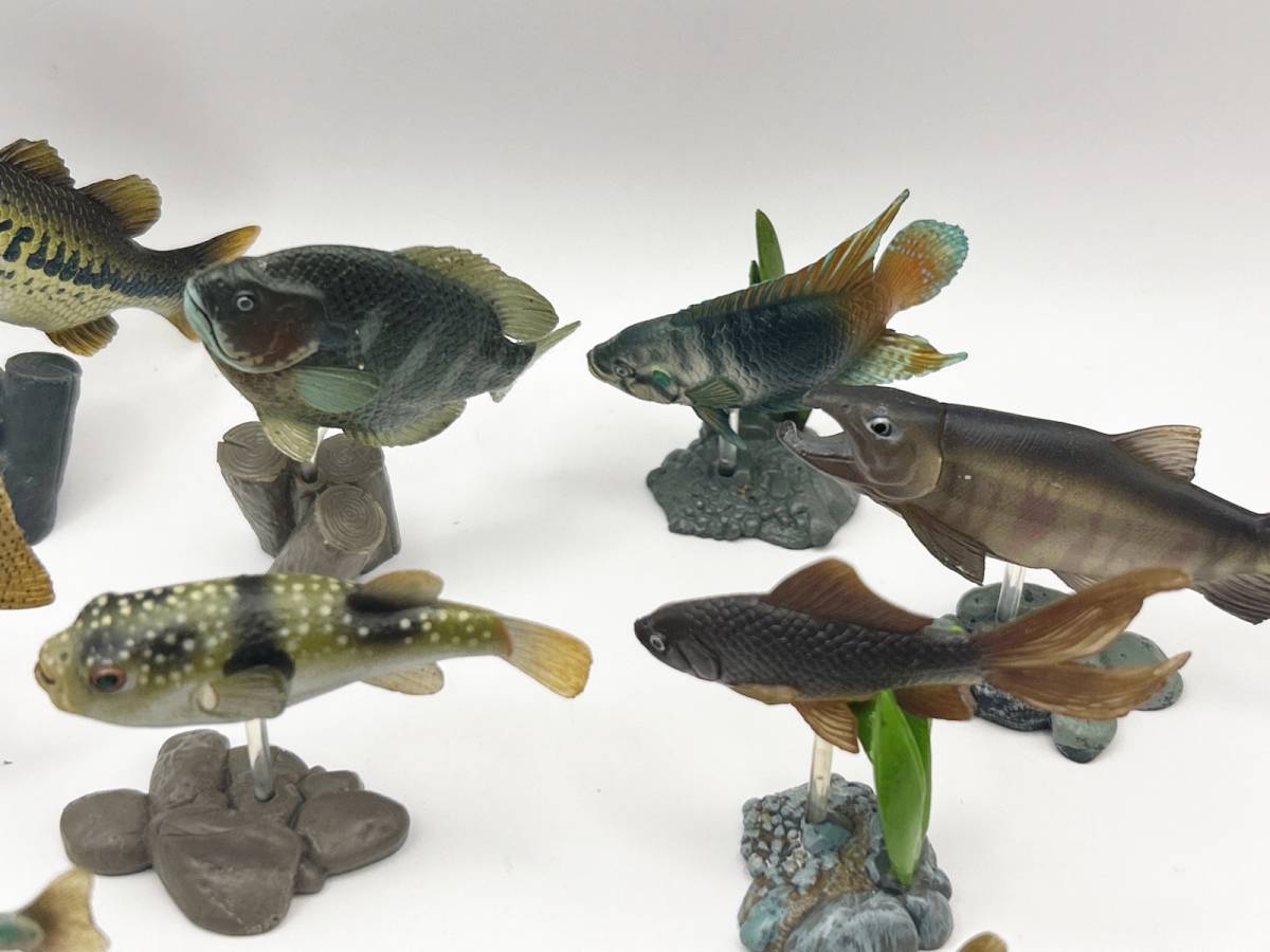 〓Yujin ユージン〓原色淡水・海水魚魚図鑑シリーズ 大量処分まとめ売り ブラックバス・アカメ・イトヨ@ジャンク 生物 フィギュア_画像6