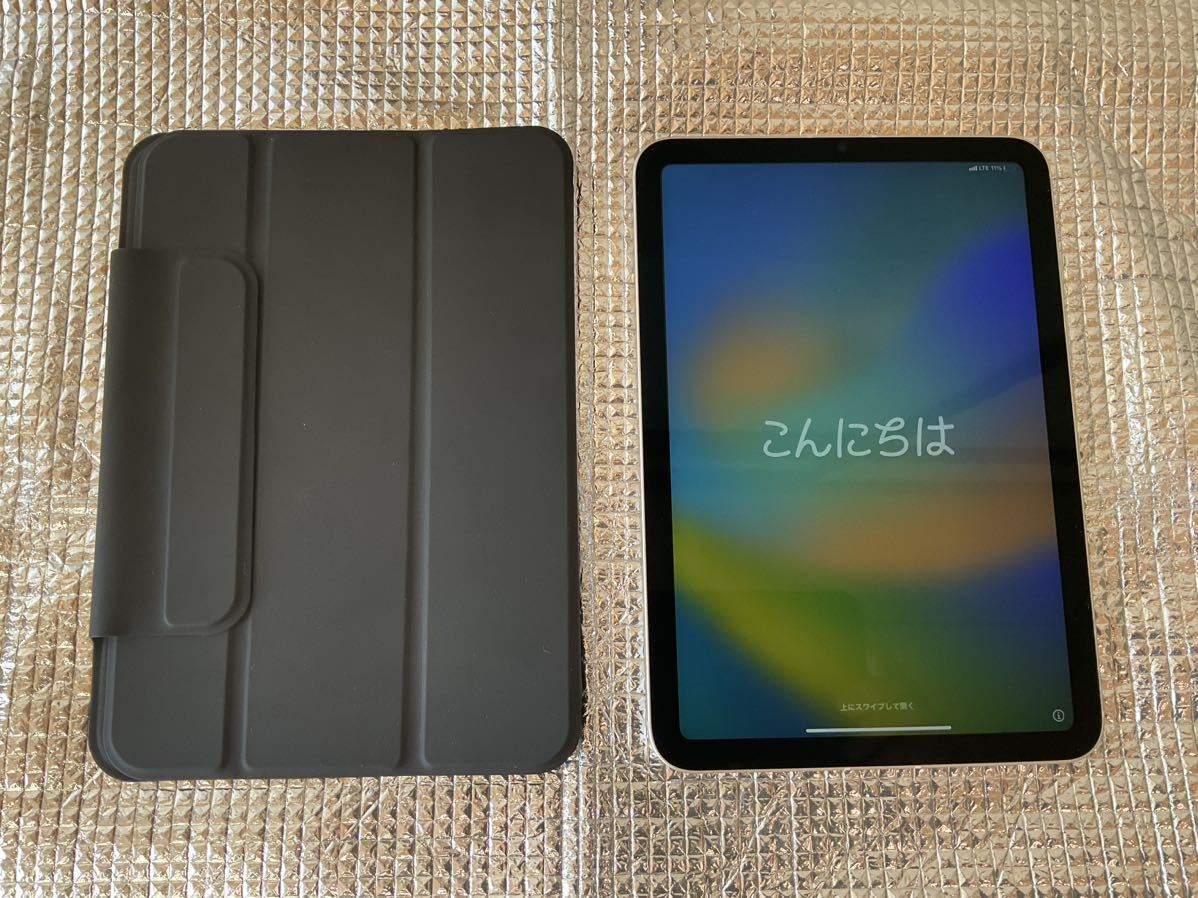 iPad mini6 64GB Wi-Fi Cellular ピンク　中古美品_画像1