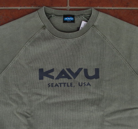 SALE！新作！オススメ！ＫＡＶＵ（ＵＳＡ）超ヘビーウエイトコットン！オーバーサイズ仕様！ピグメント・ロゴＴシャツ（グリーン：Ｌ）_画像4