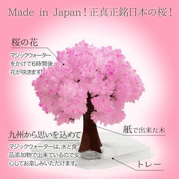 マジックツリー Magic桜ミニ マジックサクラ マジック桜 インドア花見_画像4