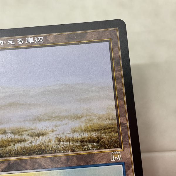 1円〜 MTG マジック:ザ・ギャザリング 日本語版 溢れかえる岸辺_画像6