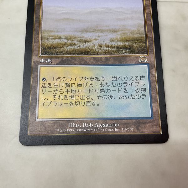 1円〜 MTG マジック:ザ・ギャザリング 溢れかえる岸辺 日本語版_画像7