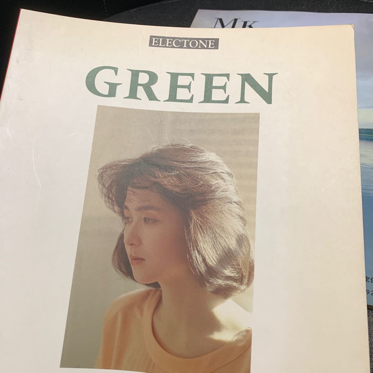 辛島美登里 ジンク・ホワイト Zinc White GREEN ピアノ弾き語り/楽譜 スコア 2冊セット_画像3