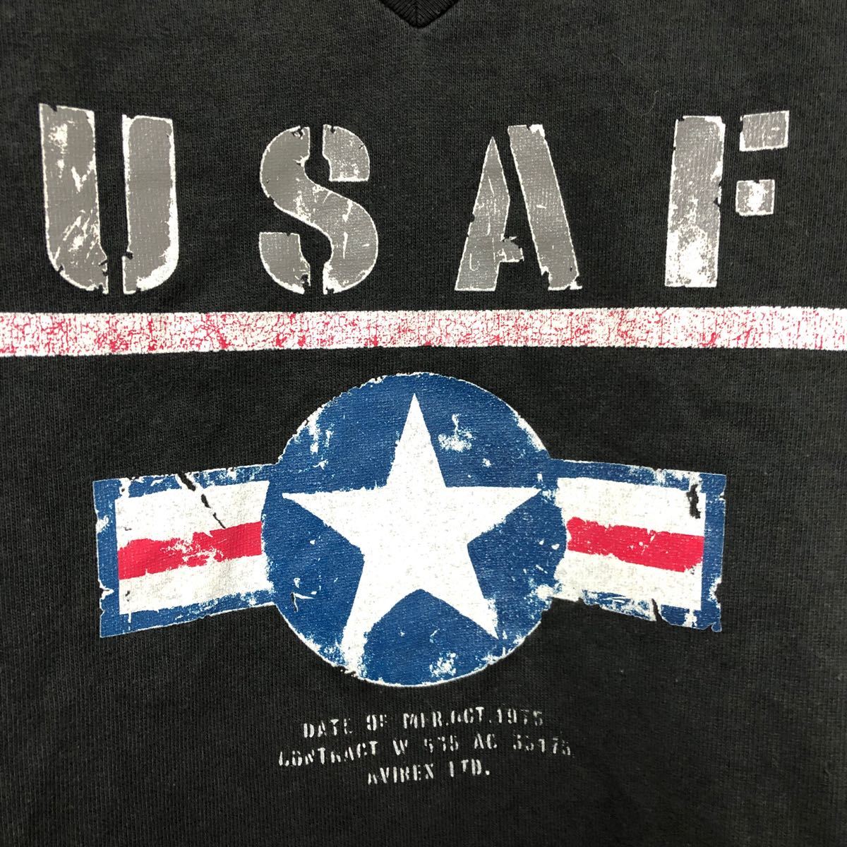 アビレックスavirex USAFエアフォースTシャツ　Lミリタリー系_画像4