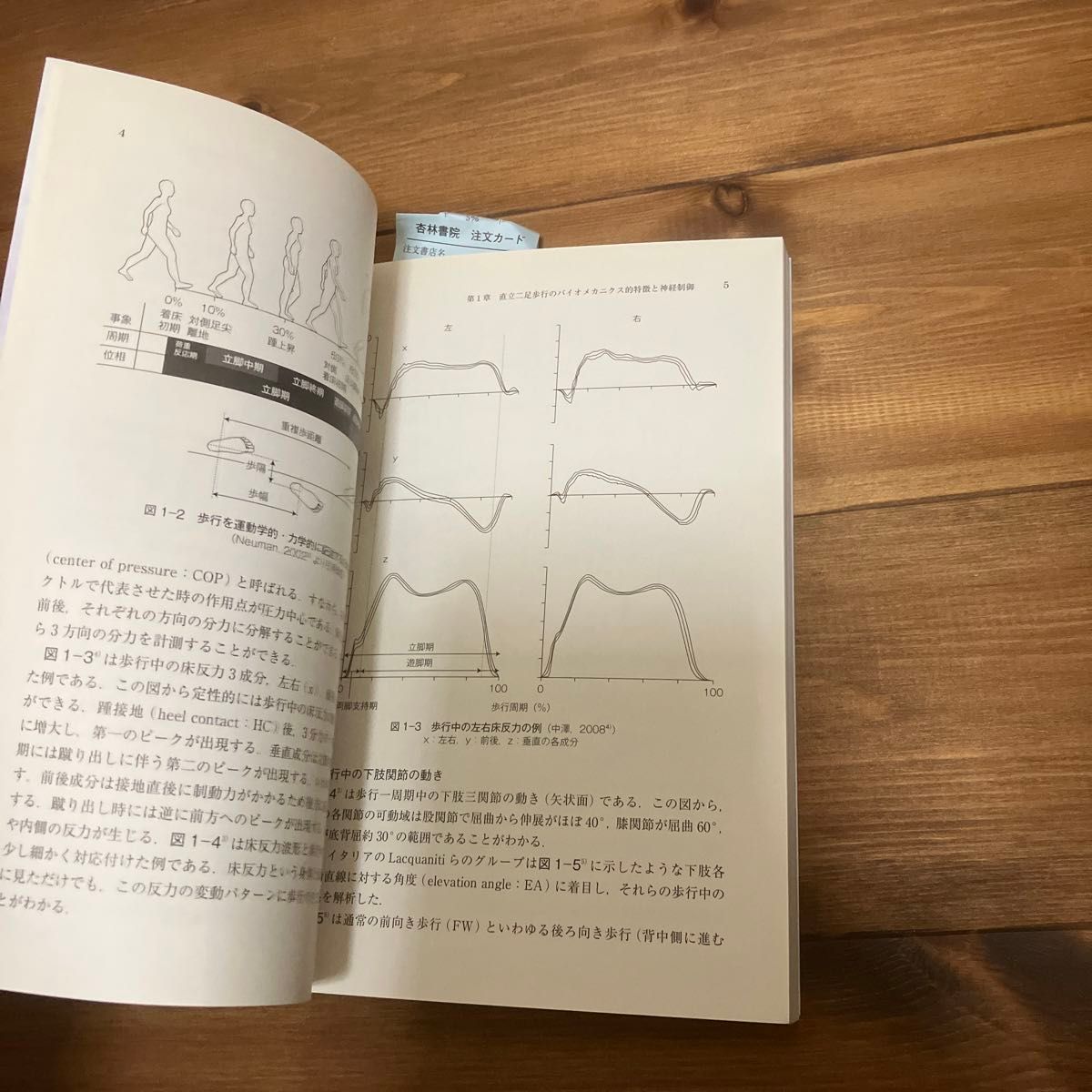 歩行のニューロリハビリテーション　歩行の再獲得をめざした理論と臨床 中澤公孝／著