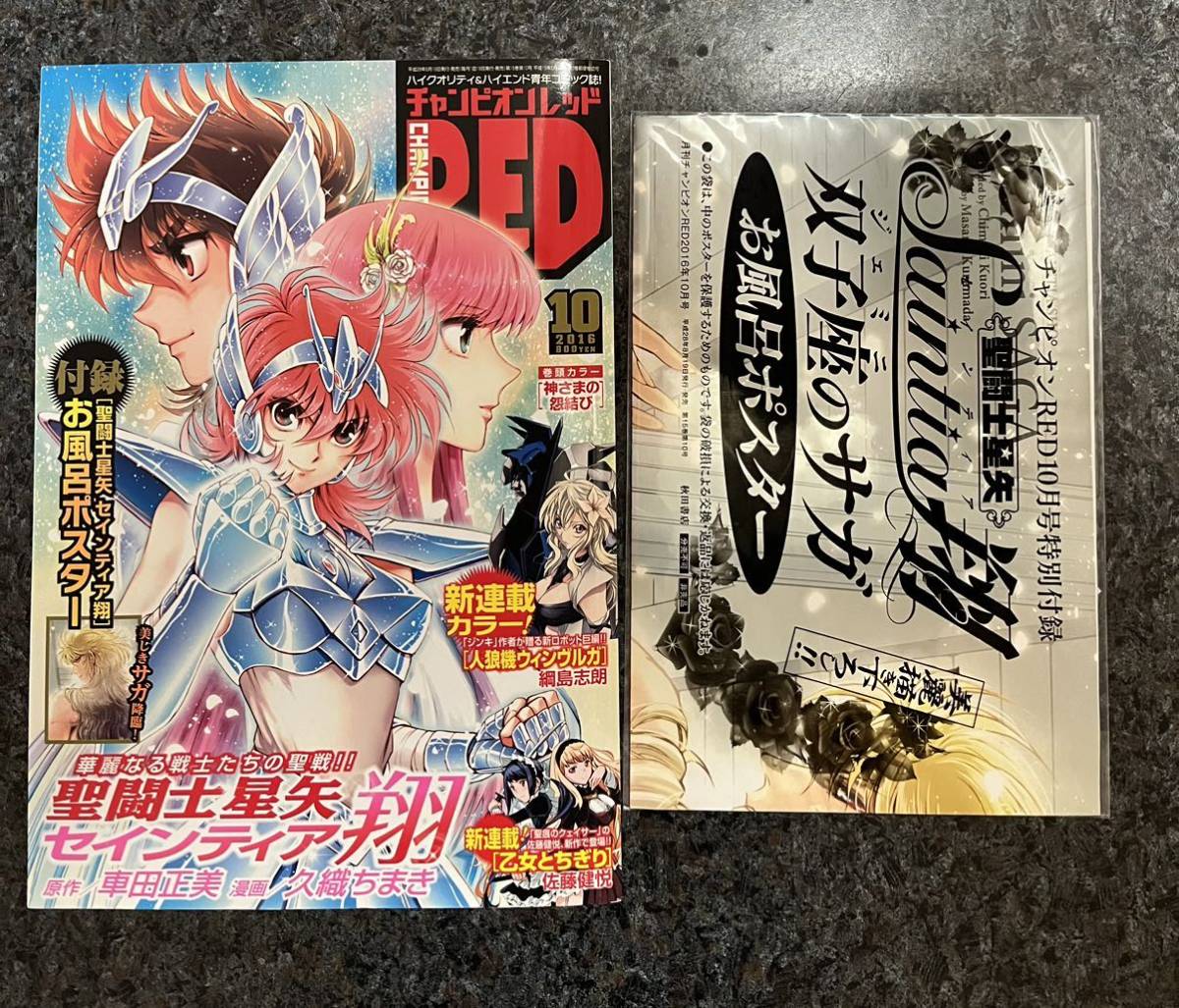 付録有☆ チャンピオンRED ☆2016年 10月号 ☆ 聖闘士星矢 セインティア翔 双子座ジェミニのサガ お風呂ポスター ☆チャンピオンレッド_画像1