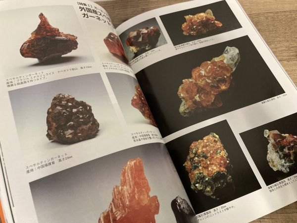 h01-5 / ミネラ No.19 復刊号　2012/9　特集：ガーネット パイラルスパイト／金紅石 ルチル RUTILE　鉱物 化石 鉱物雑誌 自然と野生ラン_画像3