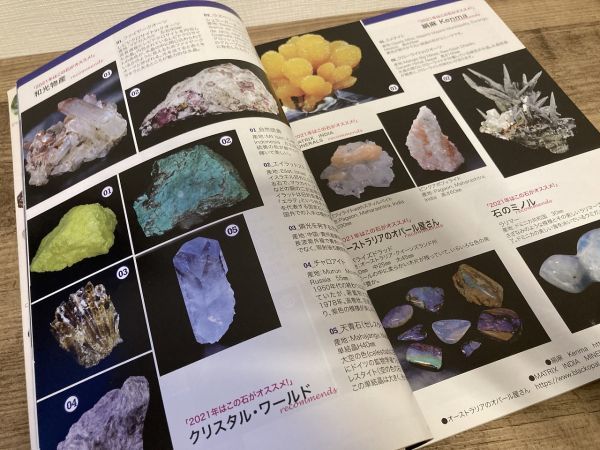 h01-31 / ミネラ No.69　2021/2　総力特集：2021年 人気の鉱物＆旬の宝石　鉱物 化石 鉱物雑誌 園芸JAPAN