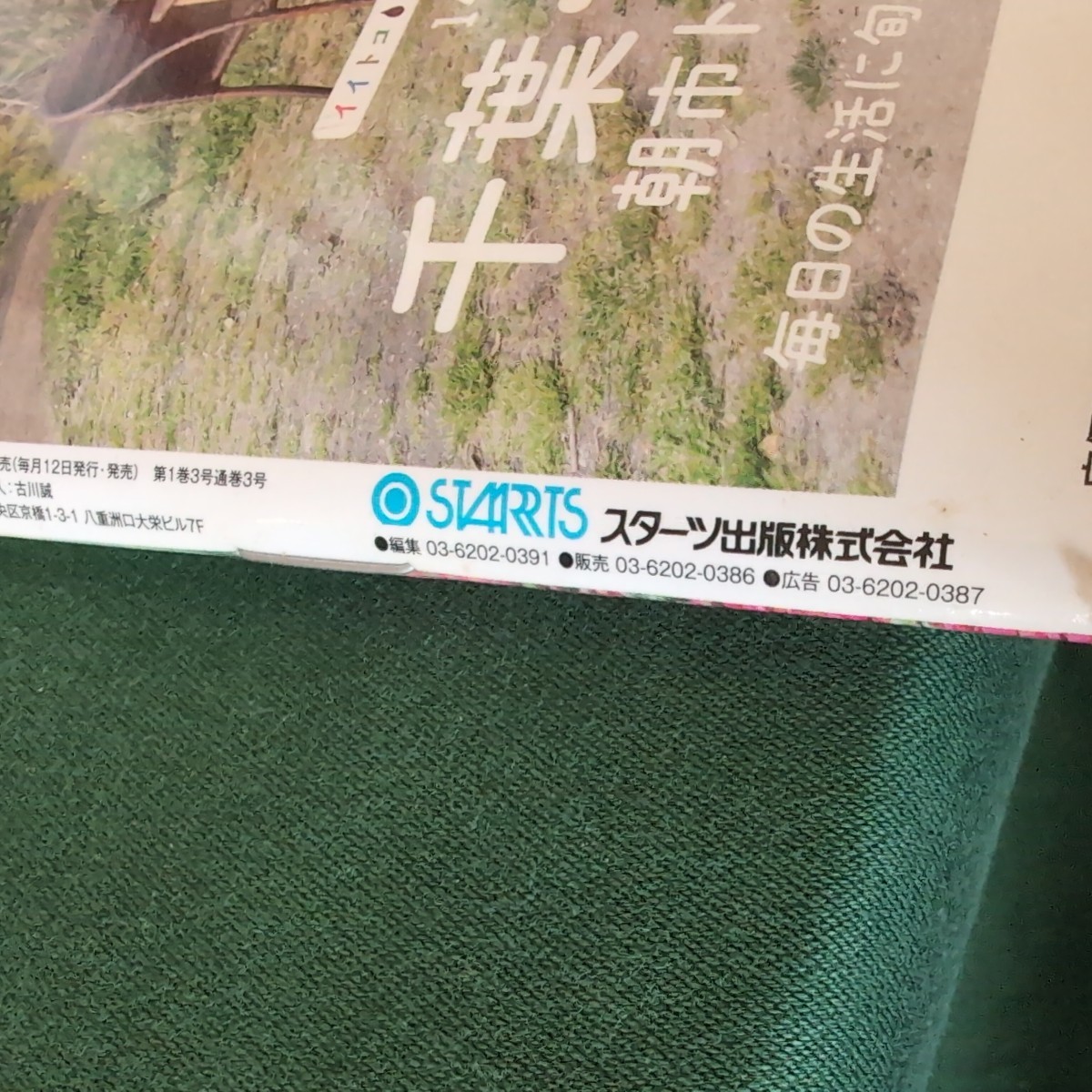 本/OZmagazine Petit (オズマガシン アウトドア特集　はじめての山登り　女子のための楽しい外遊び　山と温泉　山の花図鑑 温泉旅　女子旅_画像6