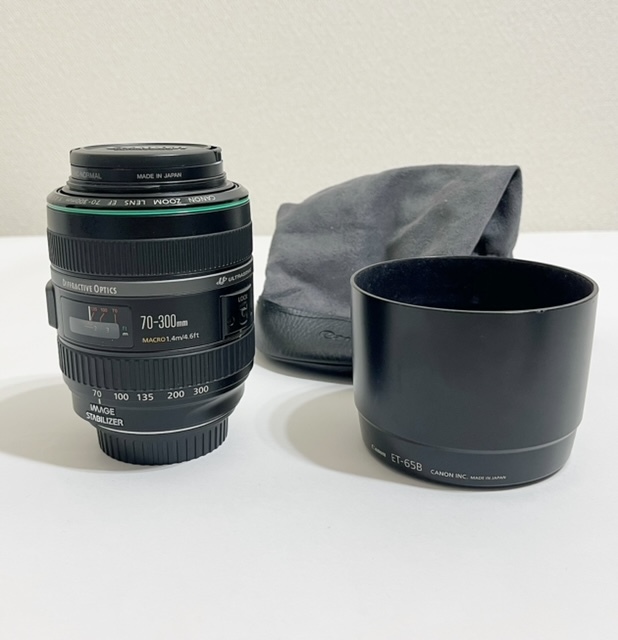 超美品【キャノン】EF70-300mm F4.5-5.6 DO IS USM《フード・ソフトケース付き》_画像1