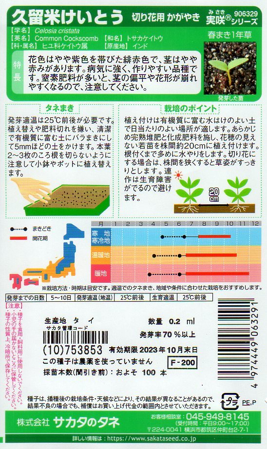 ★注意★発芽有効期限切★　◆久留米けいとう◆　【切り花用かがやき】_画像2