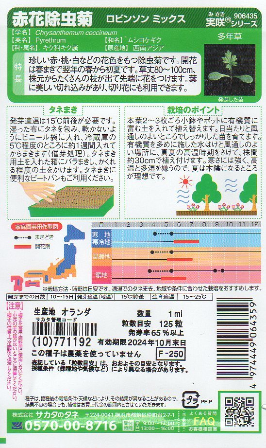 ◆赤花除虫菊◆　【ロビンソンミックス】　サカタのタネ_画像2