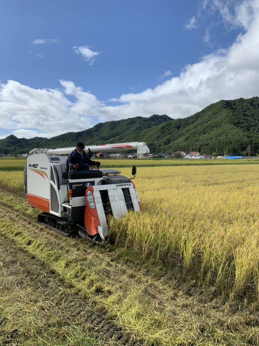 ☆最高級米☆農家直送☆令和5年度☆福島県南会津産コシヒカリ5kg☆1等米☆減農薬☆こだわり安心美味ブランド南会津コシヒカリ_画像3