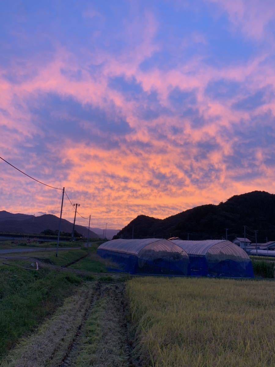 ☆最高級米☆農家直送☆令和5年度☆福島県南会津産ひとめぼれ5kg☆1等米☆減農薬☆こだわり安心美味しいブランド南会津ひとめぼれ☆_画像4