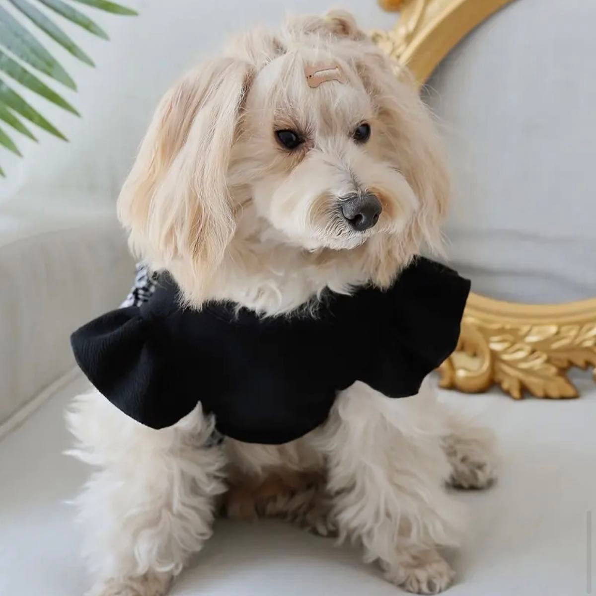 【Ｓサイズ】新品　犬　犬服　ペット用品　スカート　ドレス　お出掛け　おしゃれ　77