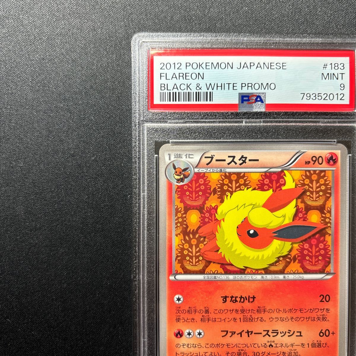 PSA9 ブースター イーブイコレクションファイル プロモ #183/BW-P FLAREON EEVEE Collection FILE PROMO Pokemon Cards psa10 Japanese_画像3