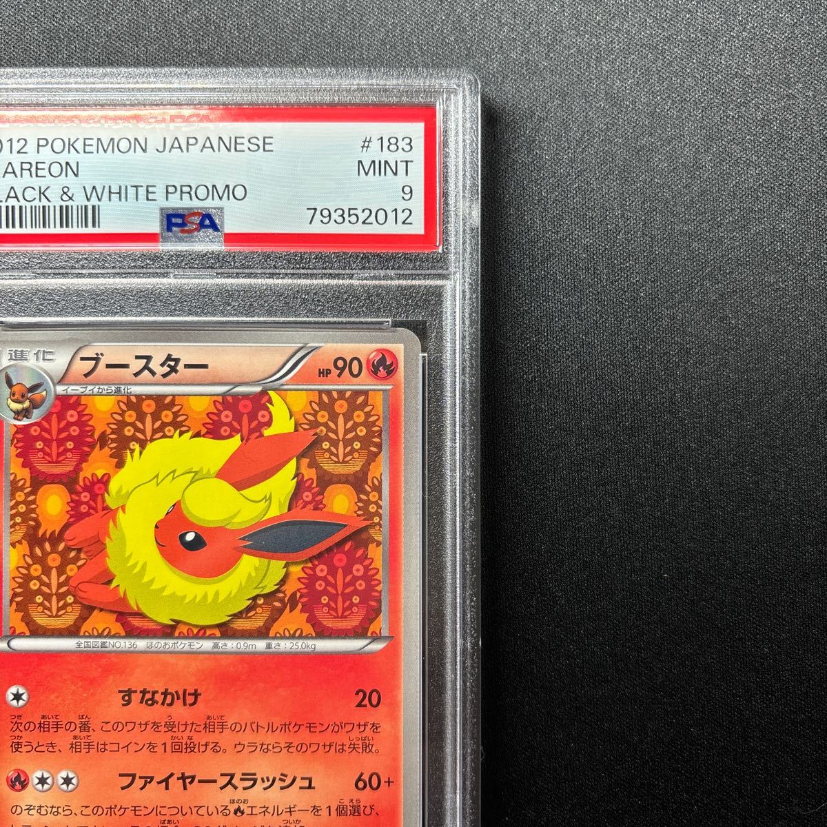 PSA9 ブースター イーブイコレクションファイル プロモ #183/BW-P FLAREON EEVEE Collection FILE PROMO Pokemon Cards psa10 Japanese_画像4