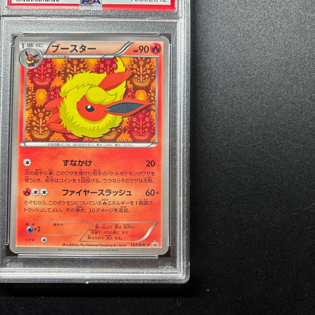 PSA9 ブースター イーブイコレクションファイル プロモ #183/BW-P FLAREON EEVEE Collection FILE PROMO Pokemon Cards psa10 Japanese_画像6