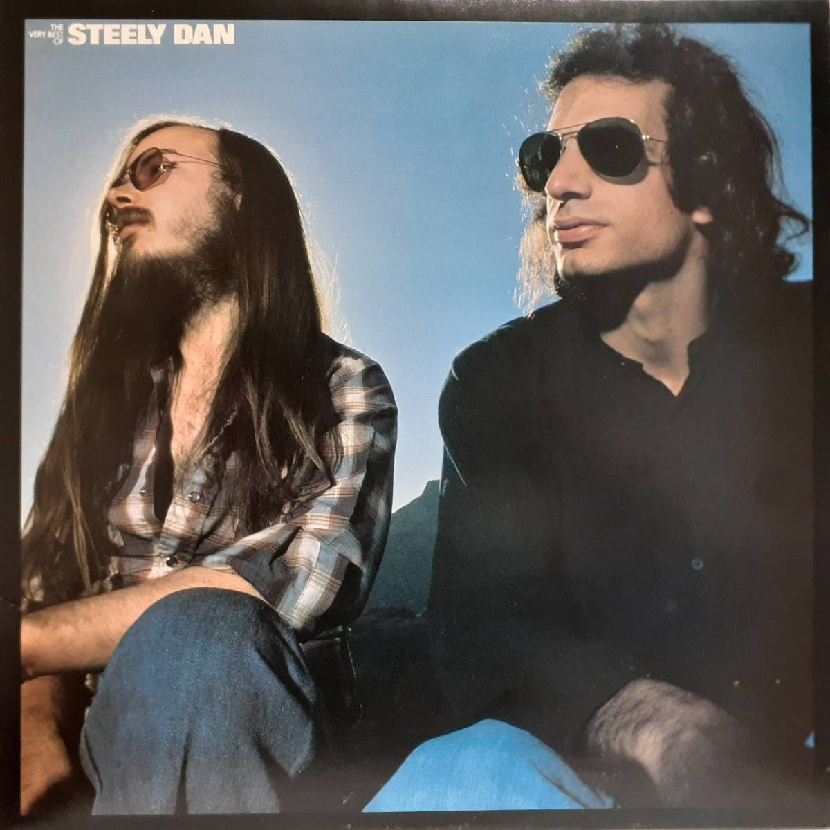 高音質 半透明盤 日本MCA盤LP！Steely Dan / The Very Best Of Steely Dan 1979年 VIM-4027 Donald Fagen AOR スティーリー・ダン PEG_画像1