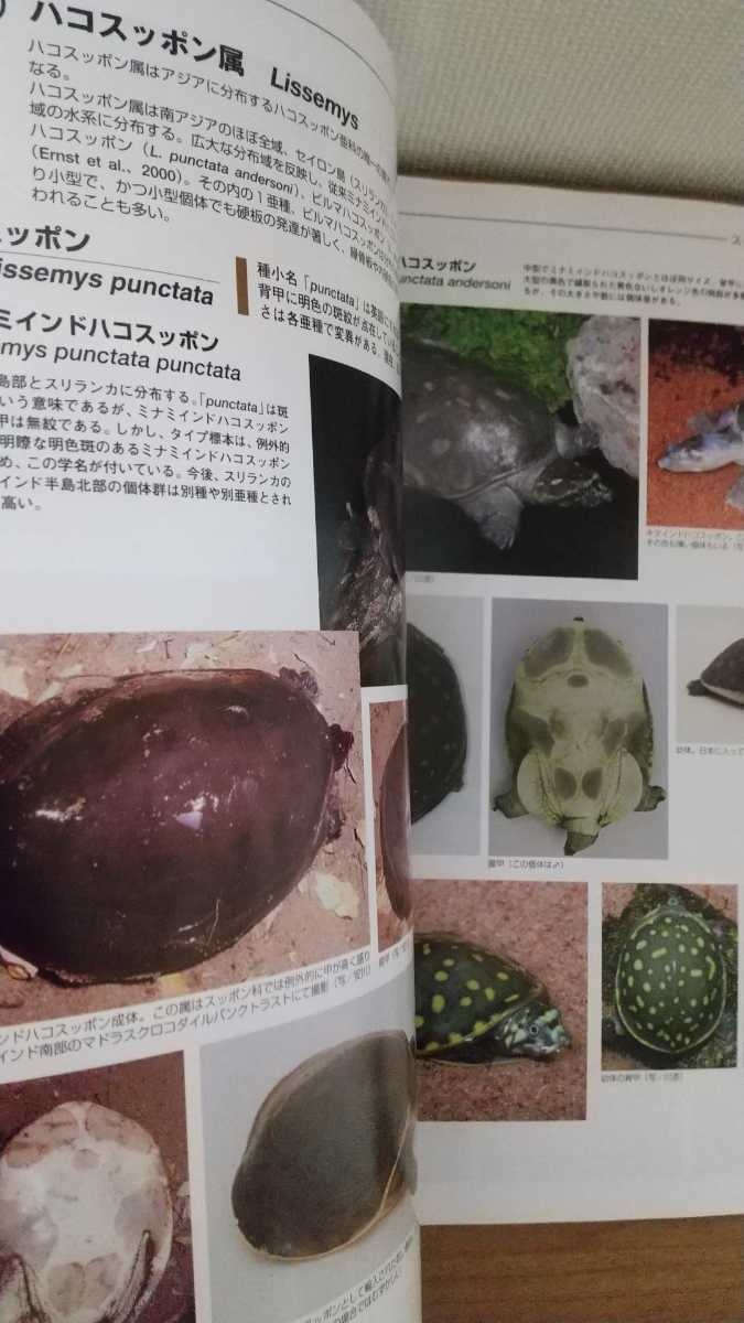  creeper no.69 2014 reptiles amphibia information magazine magazine 