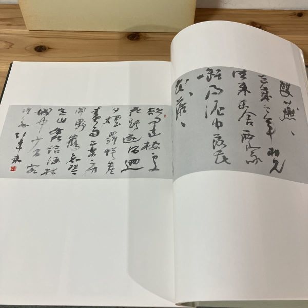 ヲH0105t[木村知石回顧展図録]書道 大型本 玄雲書道会 1985年_画像6